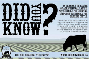 ... but great for grazing cattle. #BeefAdvocacy #LoveCDNbeef @BeefAdvocacy