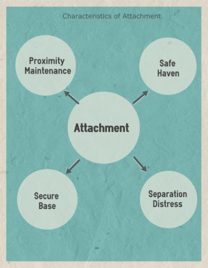 Characteristics of attachment - Image: Kendra Cherry
