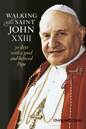... reflection on the profound and insightful teachings of the Good Pope