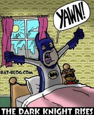 Batman The Dark Knight Rises Funnies – II (15 pics)