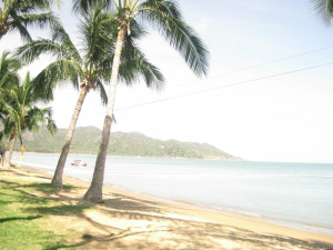 Island Girl Quotes Sketch girl discoveries