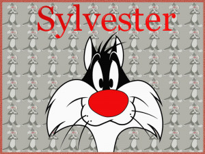 sylvester Image