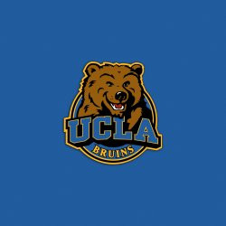 UCLA Bruins Basketball Wallpaper
