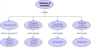 Against Evolution Evidence Supporting Man Chart