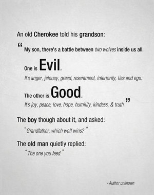 An Old Cherokee told His Grandson