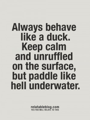 like a duck. keep calm and unruffled on the surface but paddle like ...