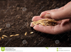 Young woman hand with seed.