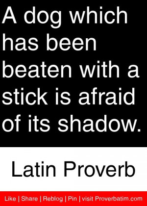 which has been beaten with a stick is afraid of its shadow. - Latin ...