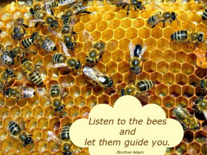 Find out more about Brother Adam and the bees
