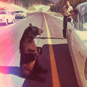 Combating 'The Fear' & Finding Inner Confidence