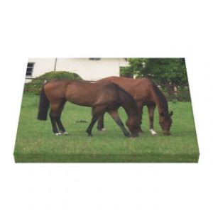 Horses Wrapped Canvas Gallery Wrapped Canvas