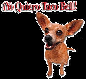 Resized Taco Bell Dog Gif