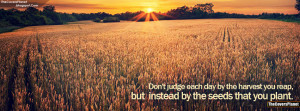 Dont Judge By The Harvest You Reap Quote Facebook Cover
