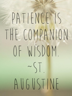 patience is the companion of wisdom patience is the companion