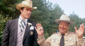 the movie smokey and the bandit directed by hal needham