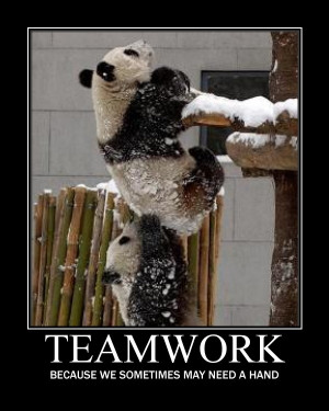 Teamwork Quotes