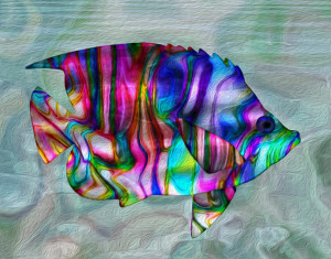Colorful Tropical Fish Painting HD Wallpaper