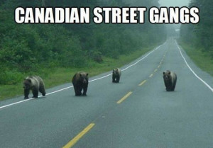 Canadian Street Gangs! #camping