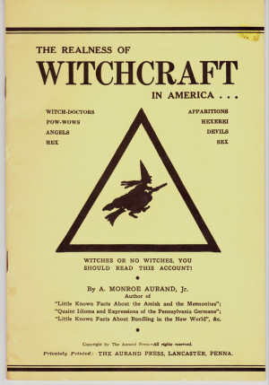 The book begins with a broad outline of the history of witchcraft ...