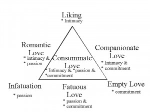 sternberg general is robert sternberg triangle of love a situation ...