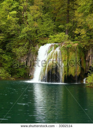 Beautiful Forest Waterfall...