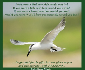 passion quotes - inspirational quotes