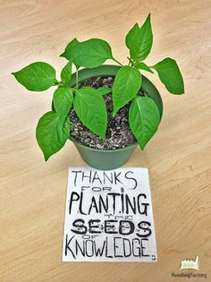 Teachers: thanks for planting the seeds of knowledge! More