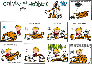 Calvin+and+Hobbes-2009.01.25.gif