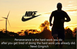 Perseverance is the Hard work you do...