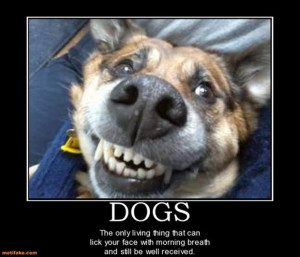 funny demotivational posters, funny animals, dogs