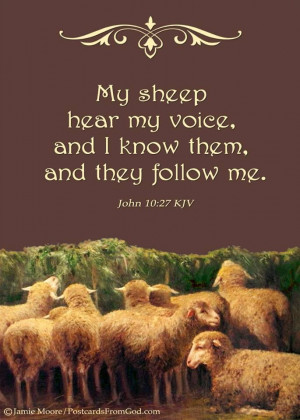 sheep hear the Good Shepherd's voice
