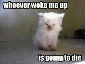 Most mornings, I wake up looking like this: