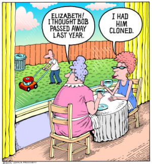 breakthrough in primate cloning scientists have successfully cloned ...