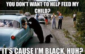 LOL-MEME-HAHA-2014-Black-Bear.jpg