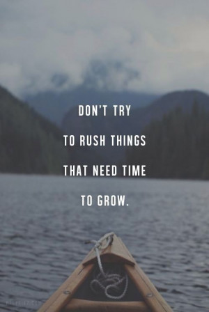 Don't try to rush things that need time to grow, be patience and wait ...