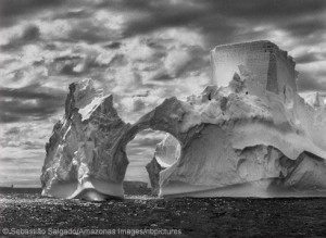 Iceberg in the Antarctic Peninsula. Sebastião Salgado: Genesis ...