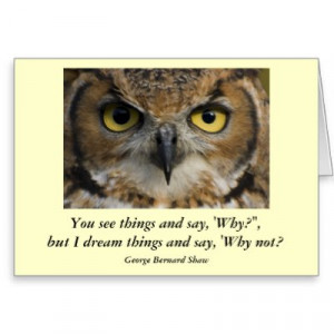 owl quotes