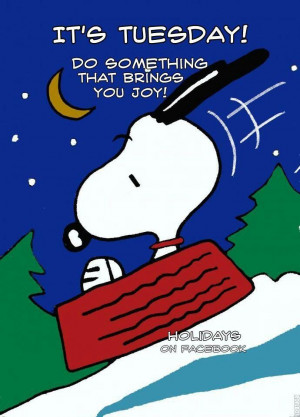 ... go to Yin later. Have some real time..... Do you want to do that or