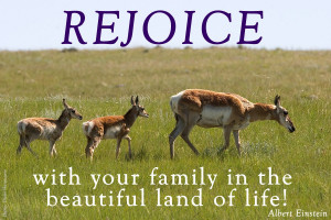 Prairie Inspiration: Timeless Quotes for Reflecting on Nature ...