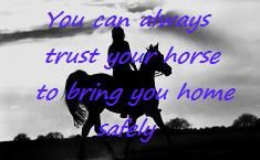 trust... horse quote