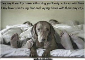 They say if you lay down with a dog