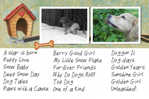 Fur-Ever Friends and other Dog Sayings