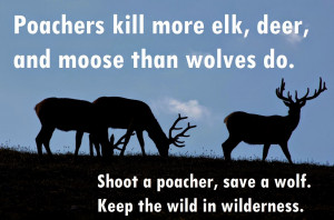 Shoot a Poacher, Save a Wolf