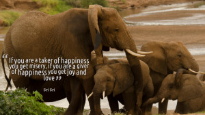 ... Love: Quotes By Sri Sri Ravi Shankar And The Pictureof The Elephants