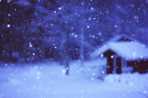 blue, cold, snow, snowing, sweden, winter