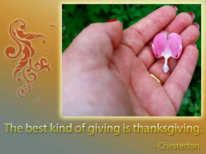 Cute thank you image quotes and sayings