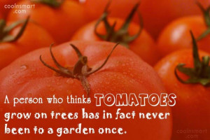 Gardening Quote: A person who thinks tomatoes grow on...