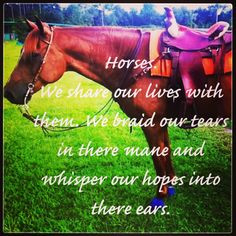 Let a horse whisper in your ear - Horse Sense