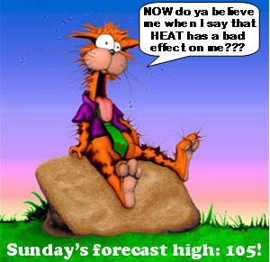 Coughing up hairballs in the heat just ain't no fun for this cat!