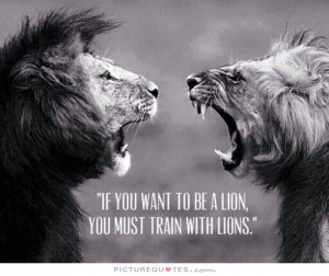Lion Quotes And Sayings Lion quotes